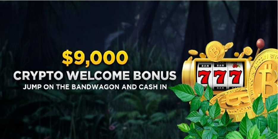Best Casino Bonuses Online (NO Deposit Bonuses, free Spins, Exclusive Offers & More) 3 Wild Casino Crypto Welcome Bonus
