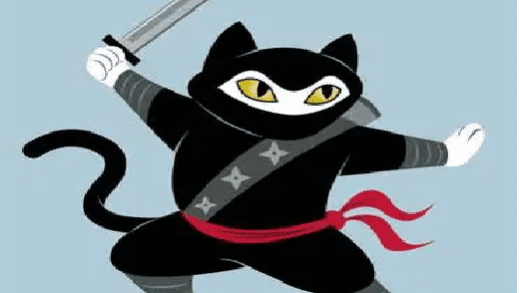 Cat Ninja Unblocked