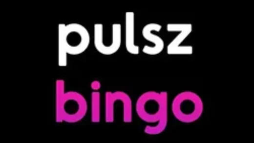 puslz-bingo-logo