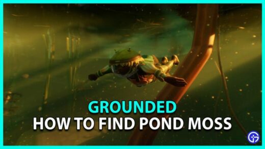 Pond Moss Grounded