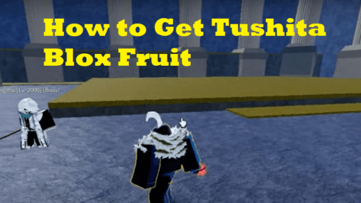 How to Get Tushita Blox Fruit