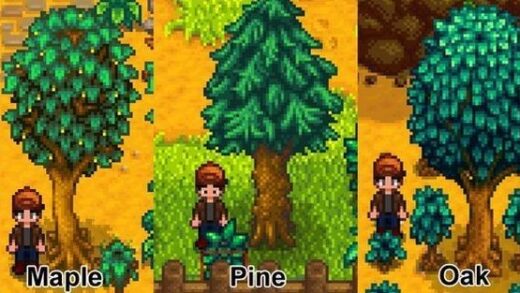 Oak Trees Stardew Valley